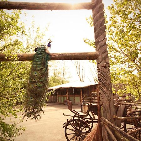 Bamboo Lodge 흐로닝언 외부 사진